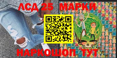 Альфа ПВП Дубна