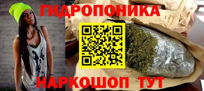 крисы Донецк