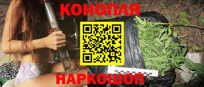 Альфа ПВП Дубна