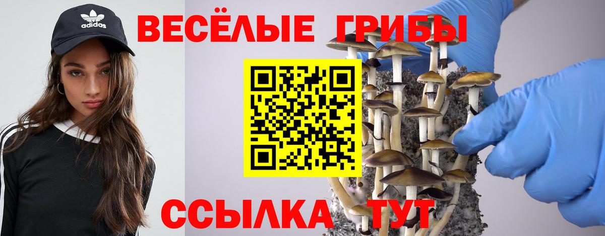 Галлюциногенные грибы прущие грибы Мытищи