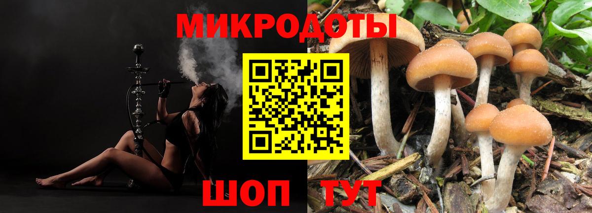 Псилоцибиновые грибы GOLDEN TEACHER  Вход с VPN  Мытищи 